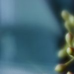 AV亚洲男人的天堂在线观看 89vpb85