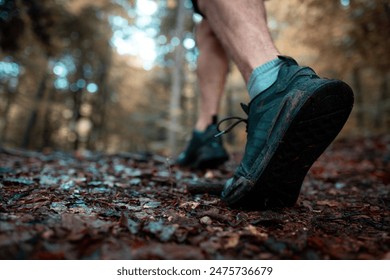 探索快猫：如何在快递行业中实现高效物流